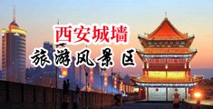 天天碰嫩草中国陕西-西安城墙旅游风景区